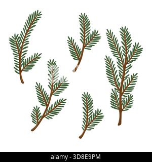 Ensemble de branches d'épinette verte Illustration de Vecteur