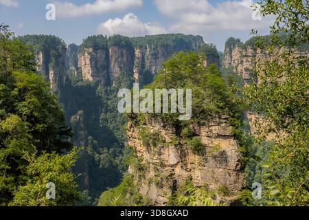 Forêt luxuriante et karst de pierre au parc forestier national de Zhangjiajie des montagnes Avatar Banque D'Images