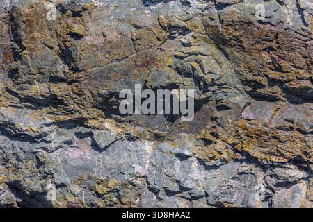 Gros plan d'une paroi rocheuse métamorphique fortement fissurée et altérée, affichant une texture rugueuse et inégale avec des variations de gris, de brun et des notes de jaune, sous la lumière naturelle du jour. Banque D'Images