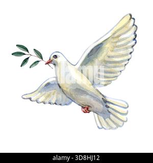 Illustration aquarelle d'une colombe blanche portant un rameau d'olivier, symbolisant la paix, l'espoir et la réconciliation. Idéal pour les projets spirituels Banque D'Images