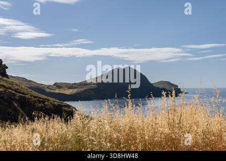 Herbe sèche dorée surplombant les collines volcaniques de Ponta de Sao Lourenco sur l'île de Madère au Portugal, la lumière du soleil se reflétant sur les eaux calmes de l'Atlantique Banque D'Images