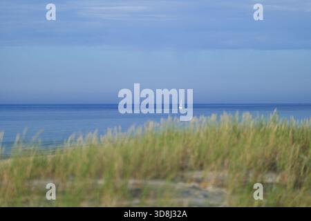 Une belle vue sur la mer Baltique calme. Les herbes sur les dunes sont floues au premier plan. Un voilier blanc solitaire est vu en mer. Slajszewo, Pologne Banque D'Images