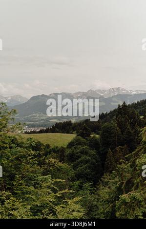 Vue sur la montagne sur la vallée de la forêt dans les Alpes de Allgäu Banque D'Images