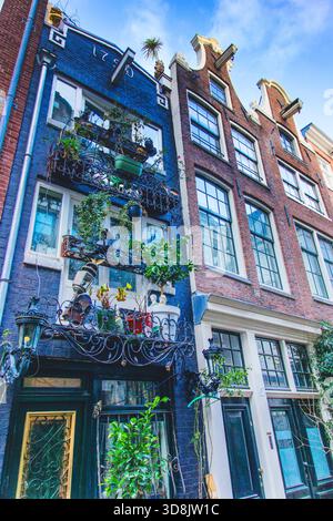 Europe, pays-Bas, Amsterdam. Façades de maisons traditionnelles Banque D'Images