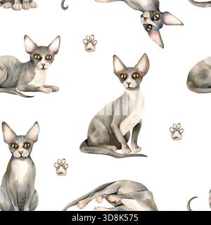 Motif sans couture chat Sphinx. Chatte Sphynx, peau chauve, patte, animal domestique. Ornement de répétition d'animaux gris mignon, fond isolé. Clip art aquarelle Banque D'Images