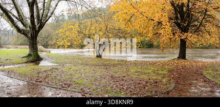 Arbres d'automne présentant un feuillage jaune vif le long d'une rivière gonflée dans une vue panoramique Banque D'Images