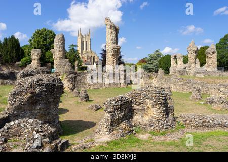 Bury St Edmunds Abbey Ruins Suffolk - Bury St Edmunds Suffolk Angleterre GB Europe Banque D'Images