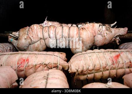 Porchetta d iAriccia est une nourriture typique de la région de Rome et est un succulent rôti de porc italien désossé. Banque D'Images