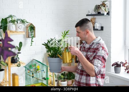 Un homme s'occupe des plantes en pot faites maison sur les étagères, des eaux d'un arrosoir, son entreprise Banque D'Images