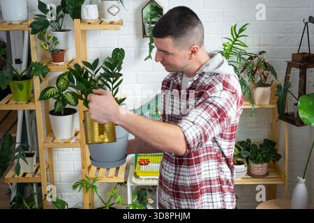 Un homme s'occupe des plantes en pot faites maison sur les étagères, des eaux d'un arrosoir, son entreprise Banque D'Images