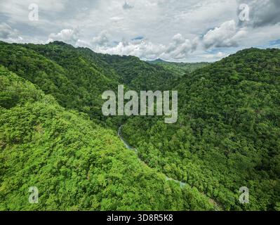 Vue aérienne d'une route sinueuse coupant à travers une forêt dense et verdoyante canopée sous un ciel brossé de nuages doux et bouillonnants, Yogyakarta, Daerah Istim Banque D'Images