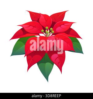 Fleur de poinsettia de Noël, décor de vacances d'hiver Illustration de Vecteur