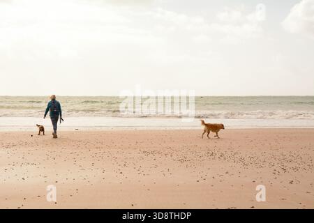 Une marcheuse et ses chiens sur la plage de St Brelade's Bay, St Brelade, Jersey, les îles Anglo-Normandes Banque D'Images