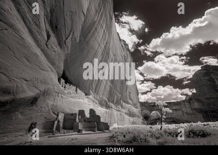 Ruine de la Maison Blanche dans le Canyon del Muerto, Canyon de Chelly, Arizona Banque D'Images