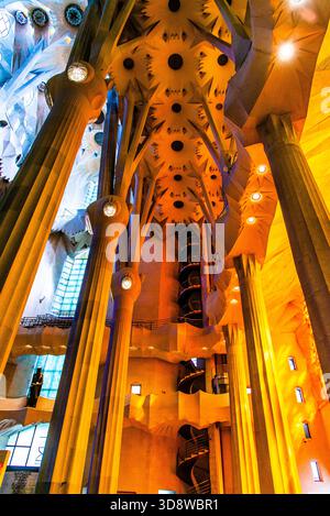 Barcelone, Espagne - 12 juillet 2025 : le magnifique plafond et la forêt de colonnes perdues par la lumière colorée à travers la rosace à l'intérieur de la Sagrada Banque D'Images