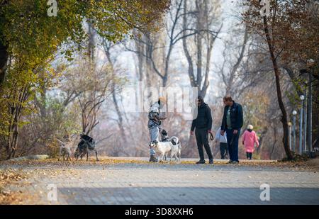 Erevan Arménie 11.25.2025. Un groupe de personnes descend un chemin avec leurs chiens. Les chiens sont de tailles et races différentes. Les gens portent BA Banque D'Images