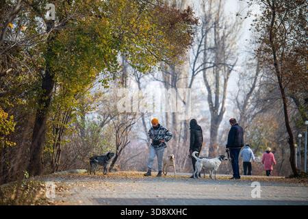 Erevan Arménie 11.25.2025. Un groupe de personnes et leurs chiens marchent sur un chemin dans un parc. Les chiens sont de différentes tailles et races, et le pe Banque D'Images