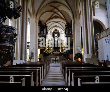 Nef de la cathédrale de STS. Peter & Paul, Zeitz, Burgenlandkreis, Saxe-Anhalt, Allemagne Banque D'Images