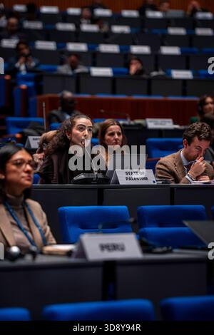La Haye, Hollande méridionale, pays-Bas. 2 décembre 2025. Le délégué de l'Etat de Palestine réfute les observations faites par le représentant de l'Argentine concernant le droit d'Israël à la légitime défense. Le 2 décembre 2025, les délégués des États membres au Statut de Rome ont tenu un débat plénier au cours duquel ils ont présenté les positions et les préoccupations de leurs états pour la Cour pénale internationale. L'Assemblée des États parties au Statut de Rome se réunit du 1er au 6 décembre 2025. (Crédit image : © James Petermeier/ZUMA Press Wire) USAGE ÉDITORIAL SEULEMENT ! Non destiné à UN USAGE commercial ! Banque D'Images