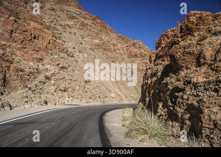 Route vide à travers le paysage sec, monté de cactus dans la partie nord de l'Argentine Banque D'Images