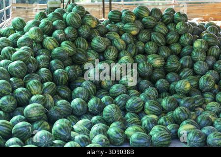 Grande pile de pastèques vertes fraîches au marché. Cette récolte abondante de fruits sucrés et juteux à vendre représente une alimentation saine et une agriculture naturelle Banque D'Images
