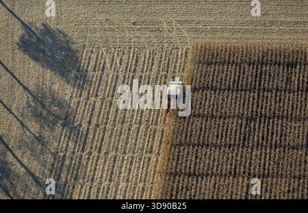 Récolte de maïs avec soutien scientifique Pelcum, Kamener Strasse Barbecke, Hamm, région de la Ruhr, Rhénanie-du-Nord-Westphalie, Allemagne, DE, Europe, vue aérienne, b Banque D'Images