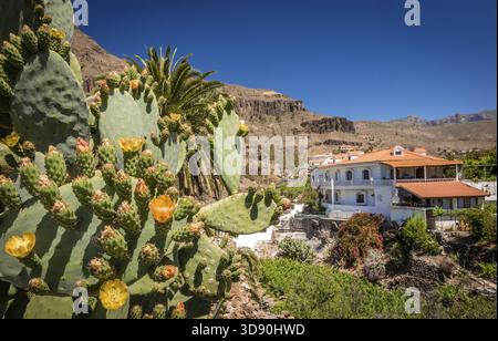 Belle petite ville de Fataga à Gran Canaria, Îles Canaries, Espagne Banque D'Images