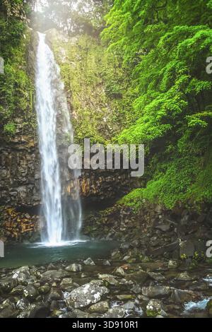 Petite cascade dans la jungle dense de l'île tropicale de Sumatra, Indonésie Banque D'Images
