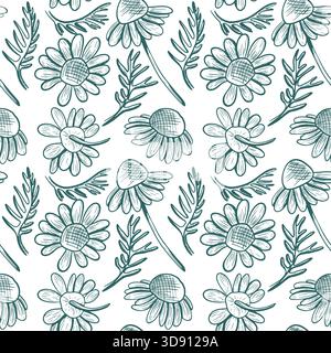 Modèle vectoriel sans couture avec des fleurs et des feuilles de camomille sur un fond blanc. Illustration botanique monochrome avec des fleurs sauvages. Ligne dessinée à la main a Banque D'Images