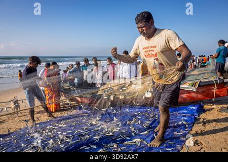 Pêcheurs nettoyant et préparant leur filet de pêche, plage de Puri, Odisha, Inde Banque D'Images