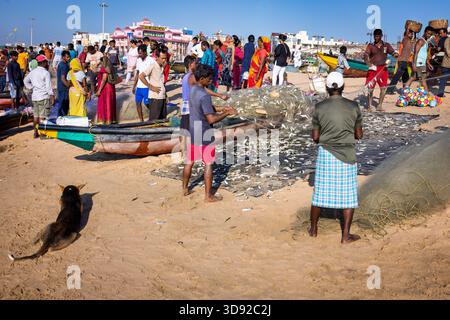 Pêcheurs nettoyant et préparant leur filet de pêche, plage de Puri, Odisha, Inde Banque D'Images