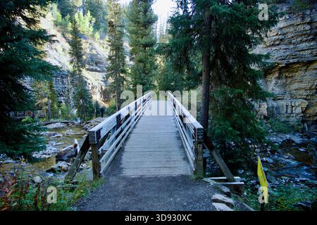 Un pont de montagne sur une rivière dans un paysage accidenté au lever du soleil entouré de pins Banque D'Images