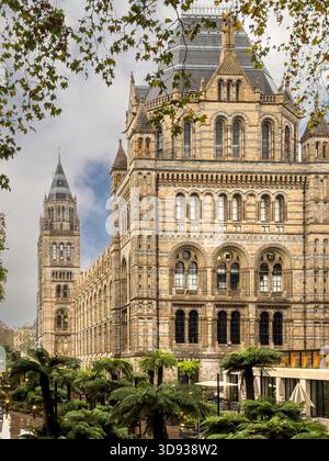Une vue détaillée de l'architecture romane en terre cuite et des tours du Musée d'histoire naturelle de Londres, encadrées par des feuilles d'automne. Banque D'Images
