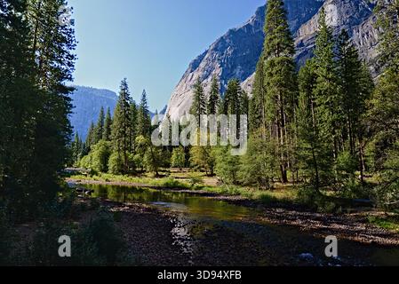 Une scène tranquille avec des arbres luxuriants bordant une rivière calme, face à des montagnes imposantes. La lumière du soleil filtre doucement à travers, créant une atmosphère paisible. Banque D'Images