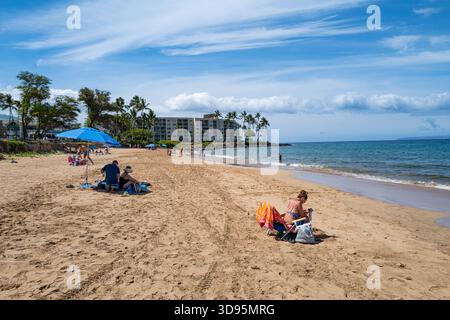 Vue vers le sud à la plage Kamole I montrant le rivage de sable, les palmiers et les amateurs de plage profitant d'une journée d'été ensoleillée. Banque D'Images