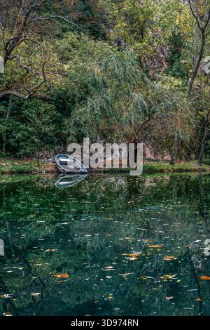 Petit bateau à rames amarré par Weeping Willow Tree reflété dans l'eau verte profonde tranquille avec des feuilles d'automne flottantes et un étang forestier isolé Banque D'Images