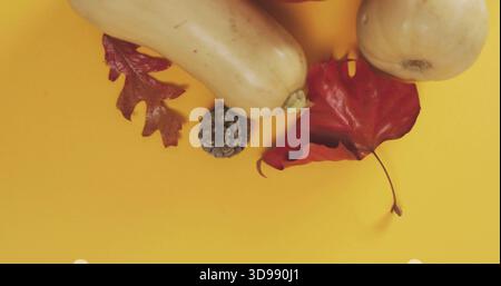 Affichage courges butternut rondes courges de chêne rouge de courge et feuilles d'érable avec pomme de pin sur la table jaune Banque D'Images
