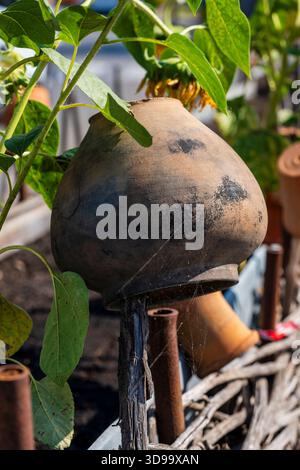Vieux pots en argile accrochés à une clôture en bois de hochet, de près, village en Ukraine. Bel élément décoratif dans le jardin d'été. Scène rurale Banque D'Images