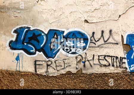 La Paz, Bolivie, 4 décembre 2025 : graffiti palestinien gratuit sur un mur dans le centre de la Paz, avec le mot espagnol loco ('fou') en bleu. Banque D'Images