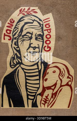 Street art à Albuquerque, Nouveau Mexique Banque D'Images