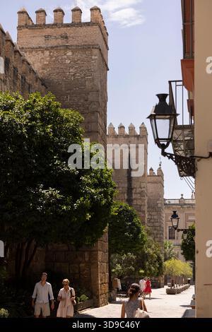 Séville, Andalousie, Espagne - 16 juillet 2025 : les gens marchent sur un trottoir devant le château de Alcázar. Banque D'Images