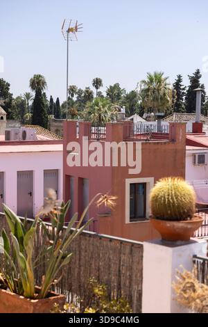 Des plantes et des arbres encadrent le quartier historique de Santa Cruz du quartier Casco Antiguo de Séville, Andalousie, Espagne. Banque D'Images