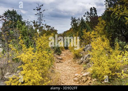 Voir l'automne de la Croix (Krizevac) Mountain à Medjugorje en Bosnie Erzegovina ed : arbres brunâtre, mauvaises herbes vertes, orange et des feuilles jaunes et gris roc Banque D'Images