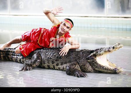 THAÏLANDE, PATTAYA 02 NOVEMBRE : traditionnel pour la Thaïlande exposition de crocodiles . Un gardien de zoo avec un crocodile 02 novembre 2009. Thaïlande, Pattaya Banque D'Images