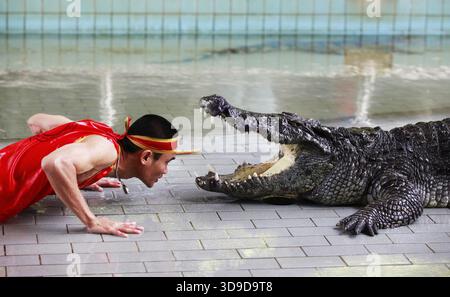 THAÏLANDE, PATTAYA 02 NOVEMBRE : traditionnel pour la Thaïlande exposition de crocodiles . Un gardien de zoo taquine un crocodile 02 novembre 2009. Thaïlande, Pattaya Banque D'Images