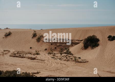 Dunes de sable et paysage de désert côtier dans le désert de Timlaline, Maroc Banque D'Images