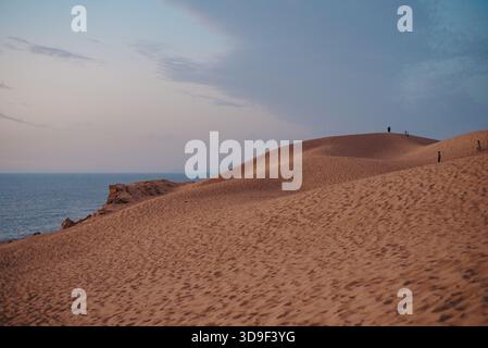 Golden Hour Dunes au désert de Timlaline surplombant la côte Atlantique Banque D'Images