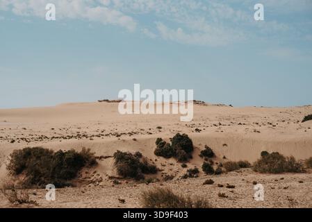 Paysage désertique avec des dunes de sable dans le désert de Timlaline, Maroc Banque D'Images
