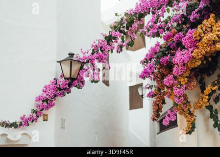Ruelle blanche couverte de bougainvilliers à Binibeca Vell, Minorque Banque D'Images
