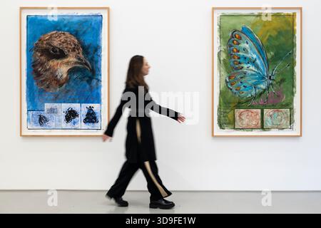 Londres, Royaume-Uni. 5 décembre 2025. Un membre du personnel passe (l) « observation : Common Swift, Apus Apus. Consomme 20 000 insectes par jour » et « observation sur la théorie migratoire des papillons Polyommatus », tous deux en 2025, lors de l’ouverture d’Oswaldo Maciá : mouvements migratoires, une nouvelle exposition de l’artiste colombien Oswaldo Maciá à la galerie Elizabeth Xi Bauer au marché d’Exmouth. Les œuvres de l’artiste explorent l’écologie, l’environnement et le monde naturel. Le spectacle se déroule jusqu'au 15 février 2026. Credit : Stephen Chung / Alamy Live News Banque D'Images